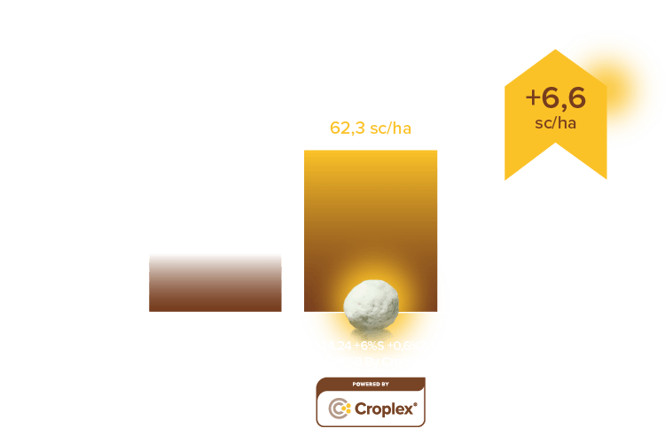 Resultados Croplex - DESKTOP 3